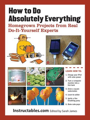 cover image of How to Do Absolutely Everything: Homegrown Projects from Real Do-It-Yourself Experts